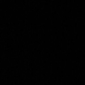 Meet your Posher, Tony